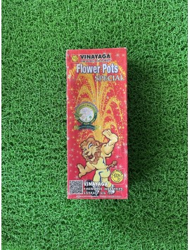 Flower Pots Special